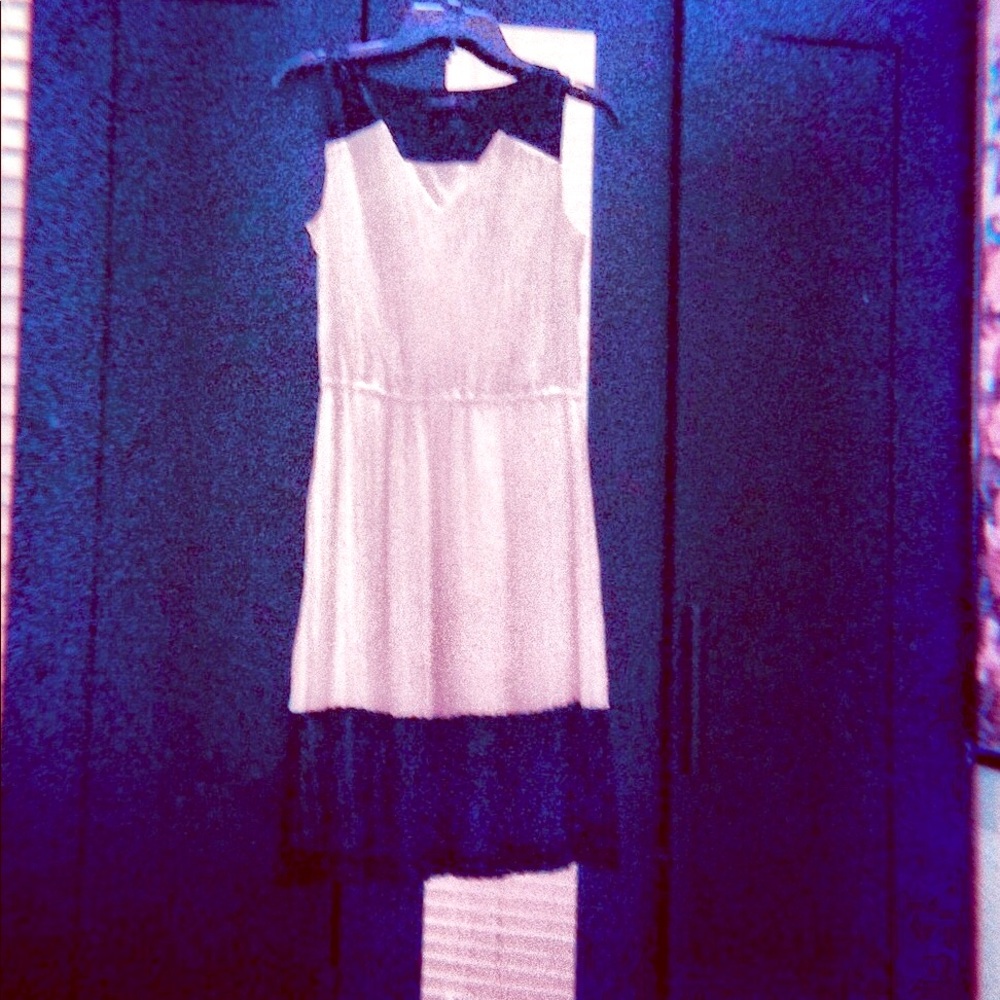 Elegant Sophisticated Dress